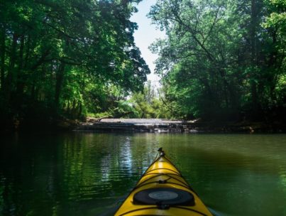 5 Ways to Protect Our Rivers