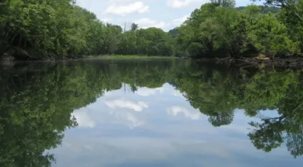 nature-img